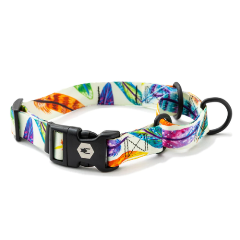 FEATHEREDFRIEND_COLLAR_MARTINGALE2