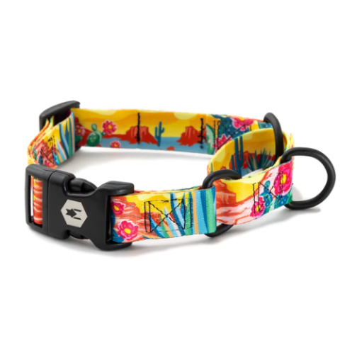 PACKLEADER_COLLAR_MARTINGALE2